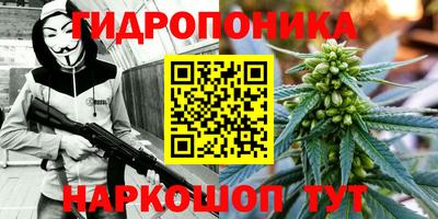 стафф Рыбинск