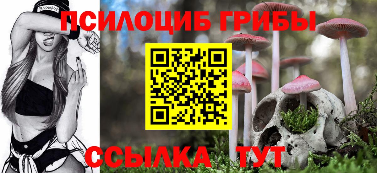 Псилоцибиновые грибы MAGIC MUSHROOMS Новокубанск